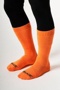 Orange flamboyant